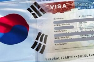 Visa Hàn Quốc là gì? Tổng quan các loại visa Hàn Quốc phổ biến & dễ hiểu nhất
