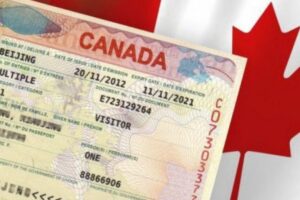 Visa Canada Single Entry và Multiple Entry khác gì? So sánh chi tiết để chọn đúng loại visa