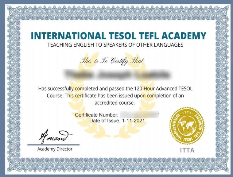 Giáo Viên Nước Ngoài Có Cần Chứng Chỉ TESOL Không? Điều Kiện Quan Trọng Khi Dạy Tiếng Anh Tại Việt Nam