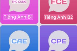 Kỹ Năng Tiếng Anh PET Cho Thiếu Niên: Nền Tảng B1 Cho Hành Trình Học Thuật Dài Hạn