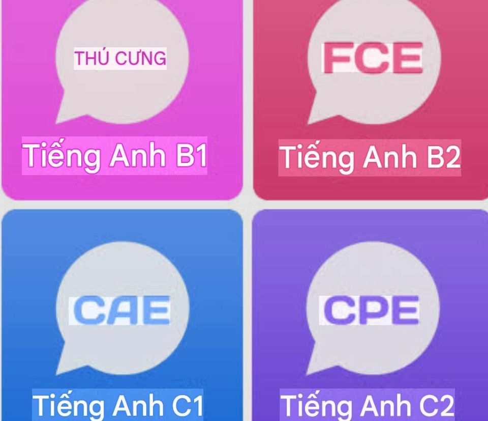 Kỹ Năng Tiếng Anh PET Cho Thiếu Niên: Nền Tảng B1 Cho Hành Trình Học Thuật Dài Hạn